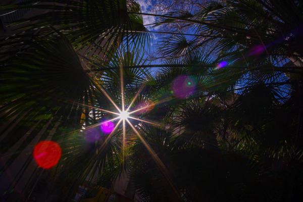 Test Pergear 12mm f / 2, The Ultra Wide-angle for Your Fujifilm -- By VIRUSPHOTO