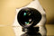 Viltrox 85mm f/1.8 STM Lens Review