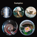 AstrHori MF 8mm F2.4 Circular Fisheye Lens for Fujifilm GFX & Hasselblad XCD
