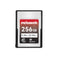 Pergear Standard 256GB VPG200 Verified CFexpress Type A Memory Card for Sony Alpha & FX Cameras