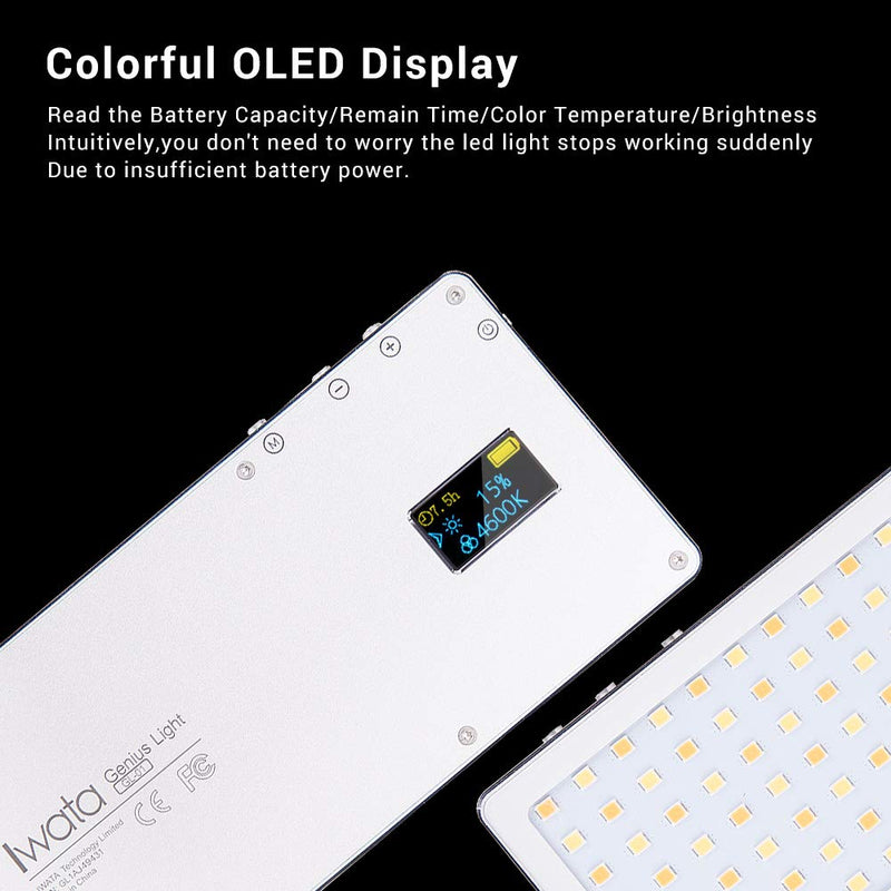 Iwata GL-01 Portable Pocket Sized LED, Accurate Color Rendition