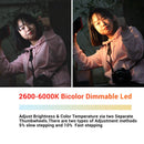 Iwata Pro 2600-6000K Bicolor Dimmable LED Light