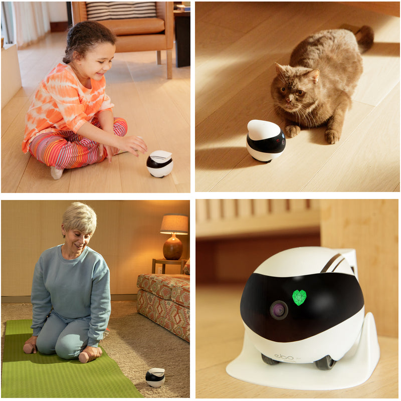 Enabot EBO Air Review: Clever Robot Cat Companion