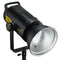 Godox FV200 200W High Speed Sync Flash and Continuous LED Light