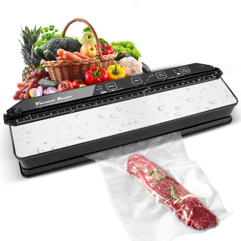 AP-13 Vacuum Sealer 2022 Upgrade Version with Double Pump