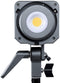 Amaran 100d LED Video Light, Made by Aputure - In Stock