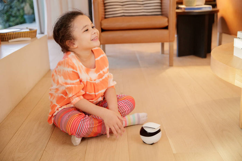 Enabot Ebo Air Security Monitor Family Companion Robot Pet Camera for Seniors Pets Kids