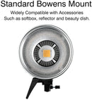 Godox SL 60W Led Continuous Video Light with BD-04 Barn Door