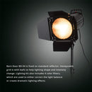 Godox SL 60W Led Continuous Video Light with BD-04 Barn Door