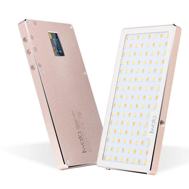 Iwata GL-01 Portable Pocket Sized LED, Accurate Color Rendition