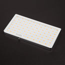 Iwata GL-01 Portable Pocket Sized LED, Accurate Color Rendition